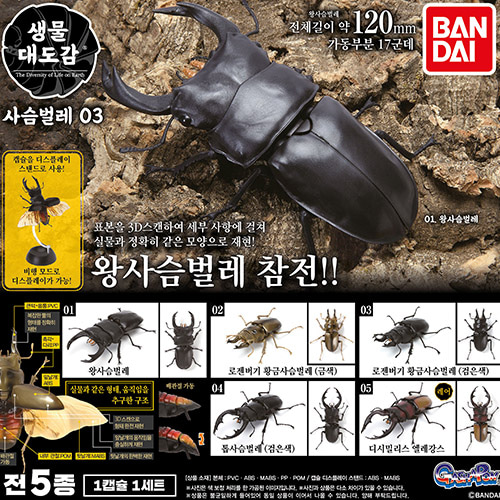 [입고완료] 반다이 생물 대도감 사슴벌레 3탄 (전 5종)(랜덤발송)
